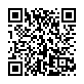 C&oacute;digo QR con el enlace al titular Video tour sobre una Ford Transit
