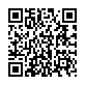 C&oacute;digo QR con el enlace al titular Diario veneciano