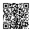 C&oacute;digo QR con el enlace al titular «Piensan que es una mascota, pero Moris es mis ojos»