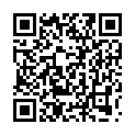 C&oacute;digo QR con el enlace al titular Pub - Leon (San Mamés)