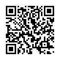 C&oacute;digo QR con el enlace al titular Toral limpia las calles para que pase el Tren