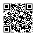 C&oacute;digo QR con el enlace al titular Arde un coche en la ronda sur de León