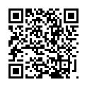 C&oacute;digo QR con el enlace al titular Faros
