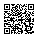 C&oacute;digo QR con el enlace al titular Una gran tormenta atrapa a León