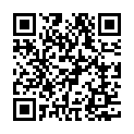 C&oacute;digo QR con el enlace al titular Inaugurado el «Mini Temple», horarios y vídeo