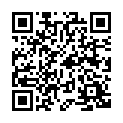 C&oacute;digo QR con el enlace al titular Completistas (600 tuits)