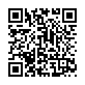 C&oacute;digo QR con el enlace al titular Carriedo asegura que “el pacto funciona” en Castilla y León y que la idea es &ldquo;mantenerlo&rdquo;