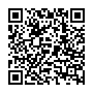 C&oacute;digo QR con el enlace al titular Fallece un joven de 25 años tras sufrir un golpe en la cabeza en la noria del Boombastic