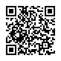 C&oacute;digo QR con el enlace al titular La baliza V16 será obligatoria para todos los coches