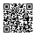 C&oacute;digo QR con el enlace al titular Así hemos narrado el doblete de McLaren en Hungría