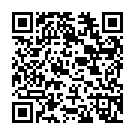 C&oacute;digo QR con el enlace al titular Un leonés en la ONU: «Tardé un mes en conseguir el pase de seguridad»