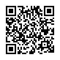 C&oacute;digo QR con el enlace al titular Vely, en el recuerdo