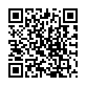 C&oacute;digo QR con el enlace al titular Novillada en Sahagún
