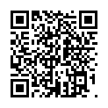 C&oacute;digo QR con el enlace al titular Casa Botines alza la bandera de León