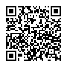 C&oacute;digo QR con el enlace al titular Una multitudinaria romería llena el camino a la Virgen