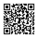 C&oacute;digo QR con el enlace al titular Una aurora boreal visita León