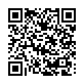 C&oacute;digo QR con el enlace al titular Una aurora boreal visita León: «Saqué a pasear a la perra y me quedé alucinado»