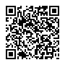 C&oacute;digo QR con el enlace al titular Así será la pista de 'pump truck' de Puente Castro