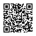 C&oacute;digo QR con el enlace al titular El León se prepara para la Navidad