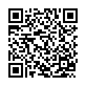 C&oacute;digo QR con el enlace al titular «Navidad de piñata» en Paradela.