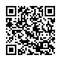 C&oacute;digo QR con el enlace al titular El columpio de Villalibre se engalana por Navidad
