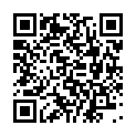 C&oacute;digo QR con el enlace al titular Dos positivos en alcoholemia el fin de semana