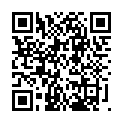 C&oacute;digo QR con el enlace al titular Segunda vuelta
