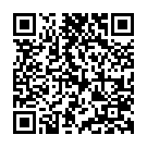 C&oacute;digo QR con el enlace al titular Chiopo arrastrado contra el puente de Lugán