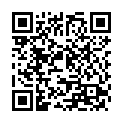 C&oacute;digo QR con el enlace al titular Callejero