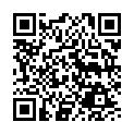 C&oacute;digo QR con el enlace al titular VI