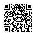Código QR con el enlace al titular AVISO PARA VIAJEROS POR EUROPA