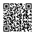 Código QR con el enlace al titular El último Novísimo