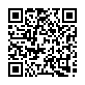 Código QR con el enlace al titular El apagón se produjo por una desaparición súbita del 60% de la energía