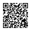 Código QR con el enlace al titular Pub - Leon (Centro)