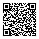 C&oacute;digo QR con el enlace al titular Iago Rodríguez y Motorsport Ibérica debutan con victoria en el Europeo de CarCross JR