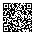 C&oacute;digo QR con el enlace al titular El exceso de velocidad llevó a los leoneses a perder 4.000 puntos en un año