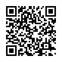 C&oacute;digo QR con el enlace al titular Primeras 205 fotos «Toral en Tren 2025»