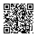 C&oacute;digo QR con el enlace al titular Feriantes