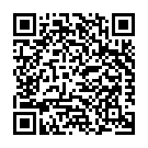 Código QR con el enlace al titular Un turismo sufre un accidente en la Avenida Reyes Católicos
