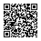 Código QR con el enlace al titular Un año después en la Diputación: del «humo» a otras cosas «realmente» importantes