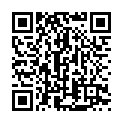 C&oacute;digo QR con el enlace al titular Cinco heridos en una colisión múltiple en la A-6 a la altura de Villagatón