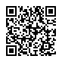 C&oacute;digo QR con el enlace al titular Inaugurado el Mercado de Verano en Pérez Colino