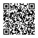 C&oacute;digo QR con el enlace al titular Espectáculo y susto en el XI Rallysprint Villa de Toreno