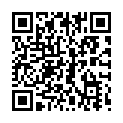 C&oacute;digo QR con el enlace al titular Flat - Leon (San Mamés)