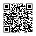 C&oacute;digo QR con el enlace al titular Lichtenberg