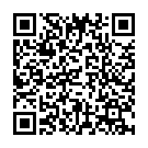 C&oacute;digo QR con el enlace al titular Un choque nocturno en la rotonda de la terminal de mercancías deja dos heridos