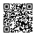 C&oacute;digo QR con el enlace al titular Fiesta de Santa Barbara ¿en el año?