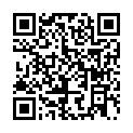 C&oacute;digo QR con el enlace al titular Iluminación navideña La Bañeza