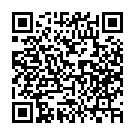 C&oacute;digo QR con el enlace al titular Pere Navarro, director general de la DGT, deja muy claro cuál es la multa por no llevar la baliza V16 en el coche a partir del 1 de enero