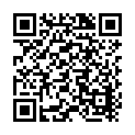 C&oacute;digo QR con el enlace al titular Vuelva una furgoneta en el cruce de la terminal